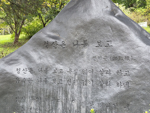 안면도수목원에서 만난 청산은 나를 보고 시비