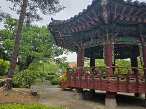 백현동 카페거리 보호수, 300년 느티나무가 있는 조용한 산책길