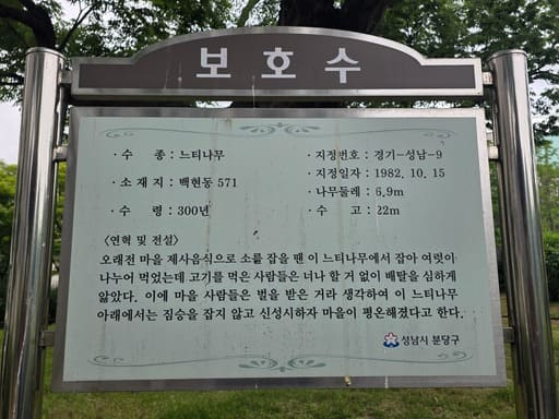 옛 마을의 전설과 보호수 지정 정보가 상세히 적혀 있는 정자목어린이공원 안내판 클로즈업