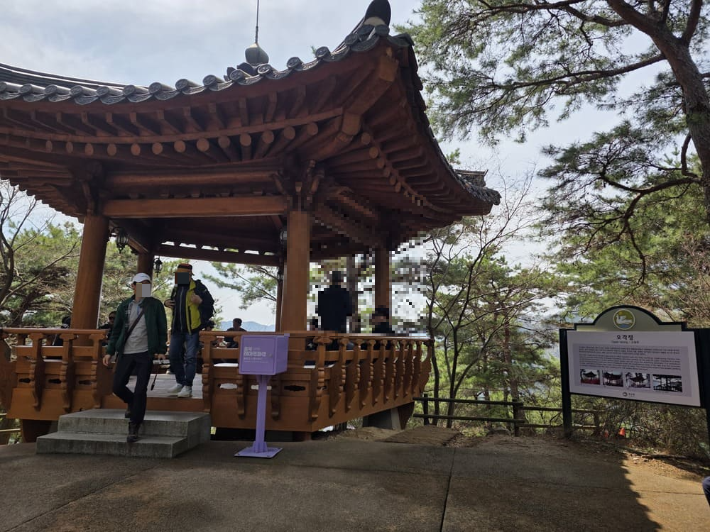소나무 숲 사이에 자리한 청남대 오각정 전경